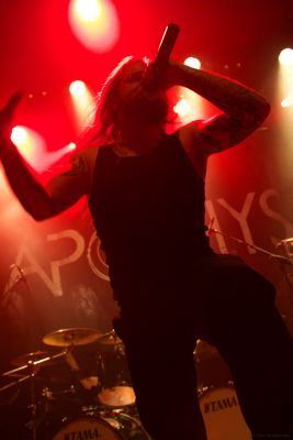 Apophys ZZN